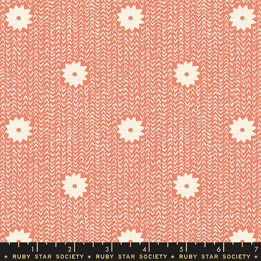 WINTERGLOW | Cozy Stars Papaya