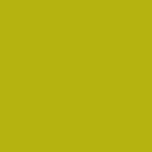 CENTURY SOLIDS | Margarita