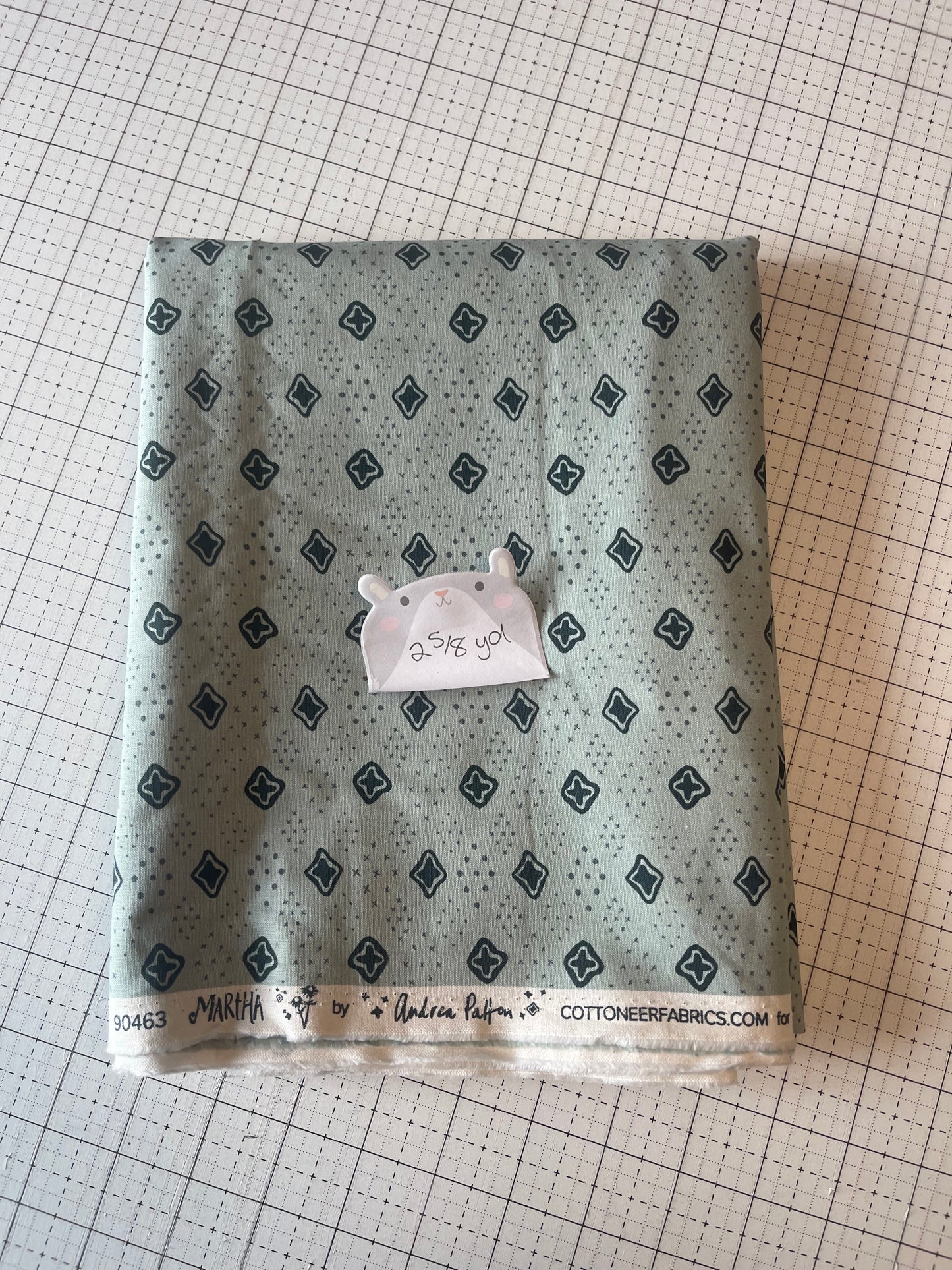 NOV25 DESTASH | Remnant 60