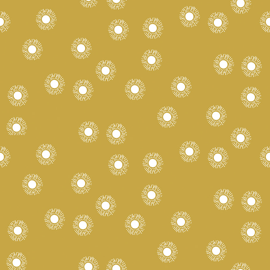 MOONCHILD | Sunshine Curry