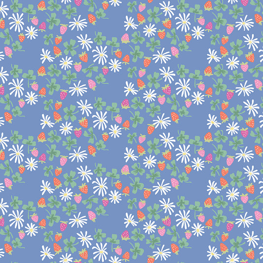 CHLOE | Strawberries Blue