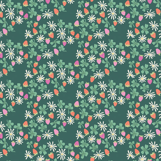 CHLOE | Strawberries Forest