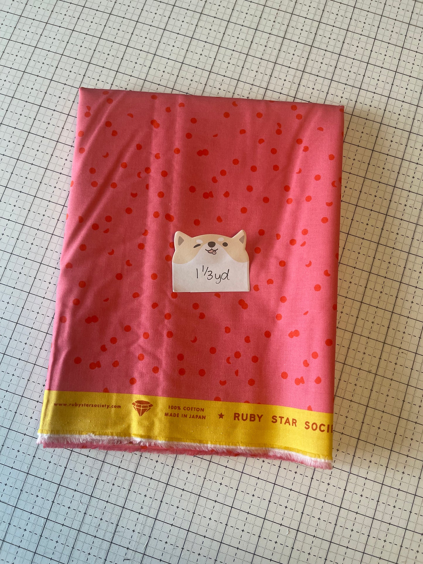 NOV25 DESTASH | Remnant 85