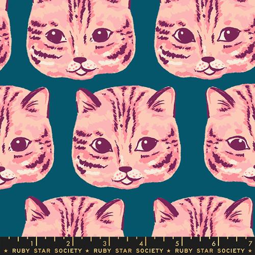 READING NOOK | Meow Meow Galaxy CANVAS