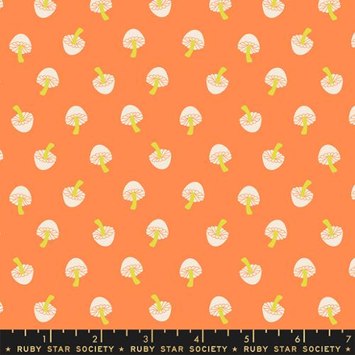 TINY FRIGHTS | Tiny Mushrooms Pumpkin