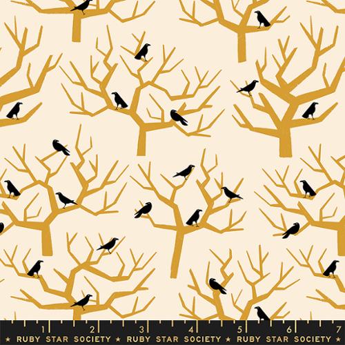 TINY FRIGHTS | The Birds Natural