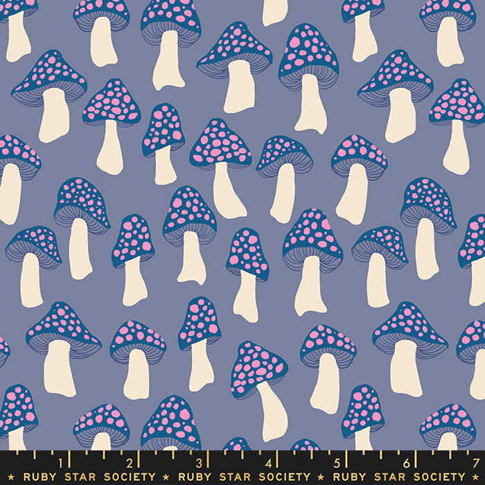 Darlings 2 | Mushrooms in Denim