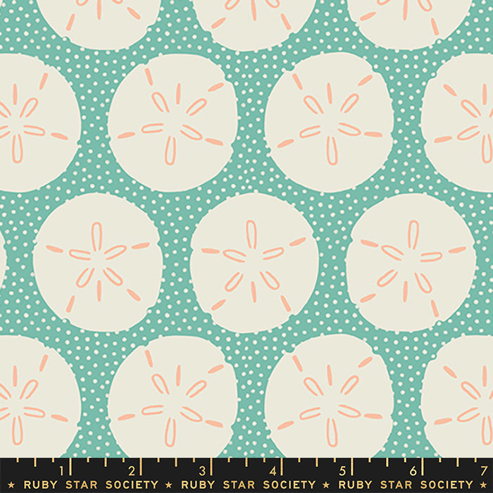 FLORIDA VOL. 2 | Sand Dollars Water