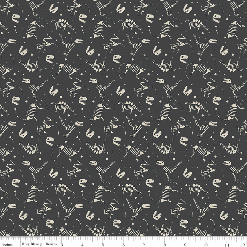 ROAR | Dino Bones Charcoal