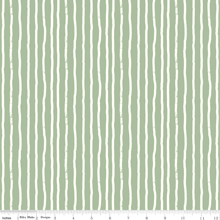 ROAR | Stripes Sage