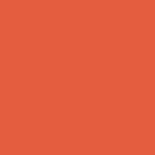 PURE SOLIDS | Tigerlily