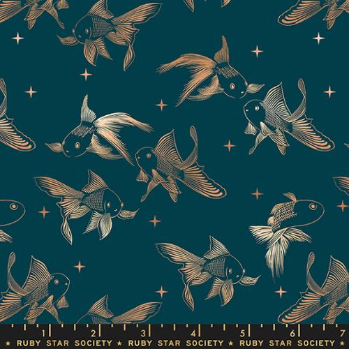 CURIO | Goldfish Galaxy