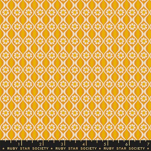 CURIO | Endpaper Honey
