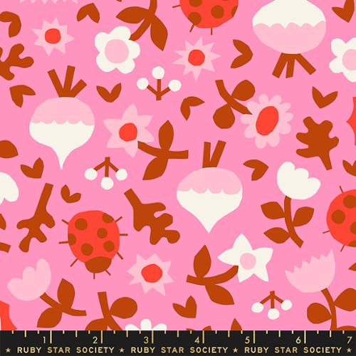 PETUNIA | Clippings Flamingo