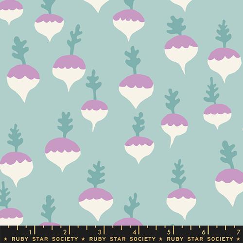 PETUNIA | Turnips Lily Pad