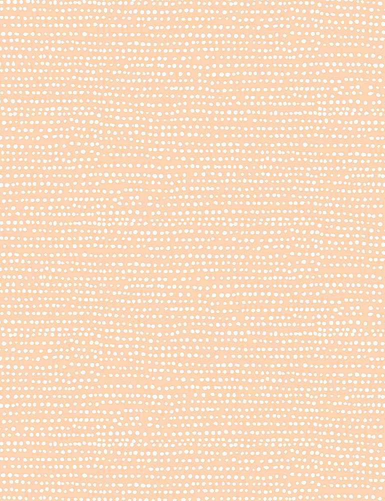 MOONSCAPE | Bellini