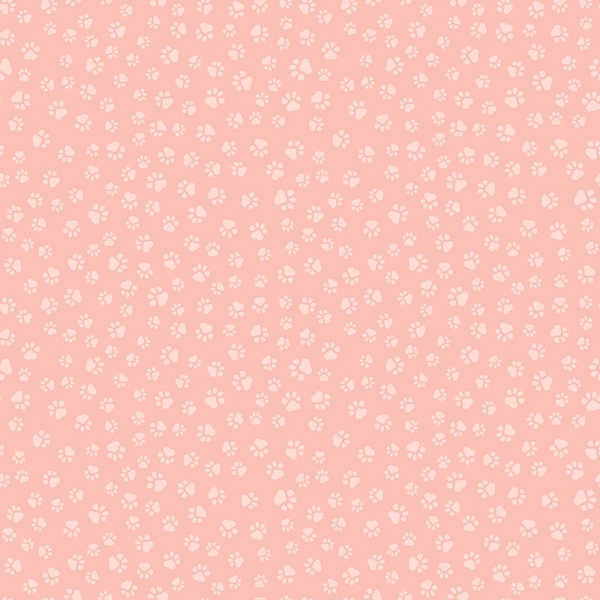 PAWS & REFLECT | Pawsome Peach