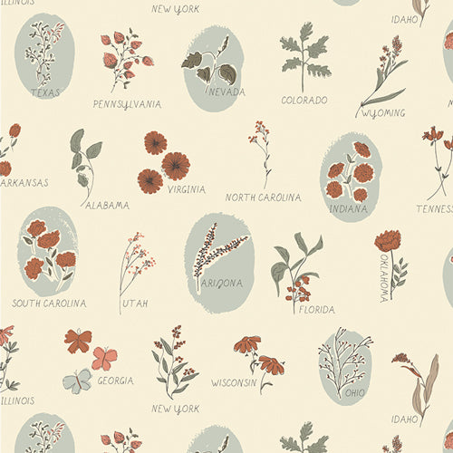 ROOTS OF NATURE | Roadside Wildflower Three