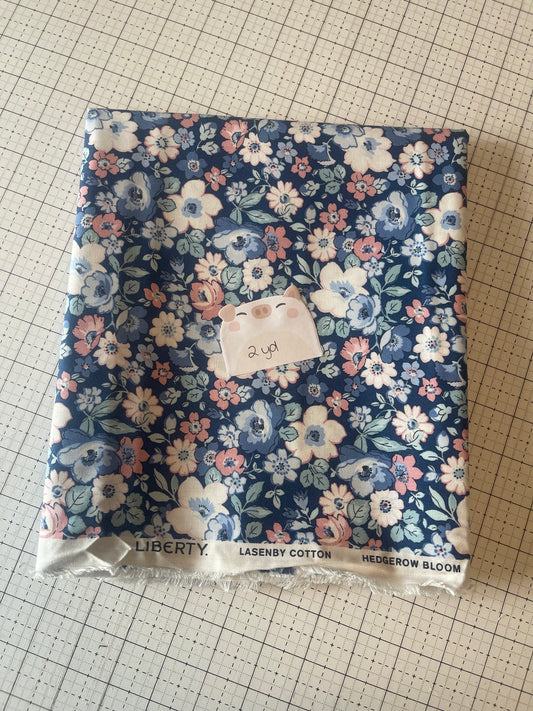 NOV25 DESTASH | Remnant 17