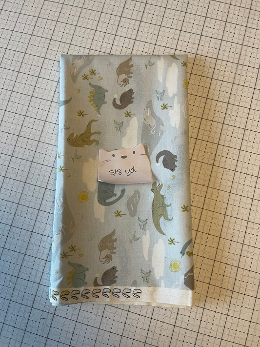 NOV25 DESTASH | Remnant 96