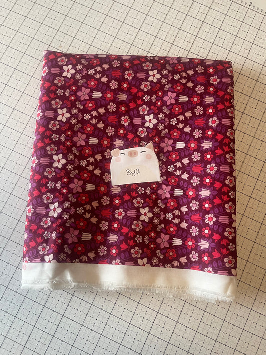 NOV25 DESTASH | Remnant 13