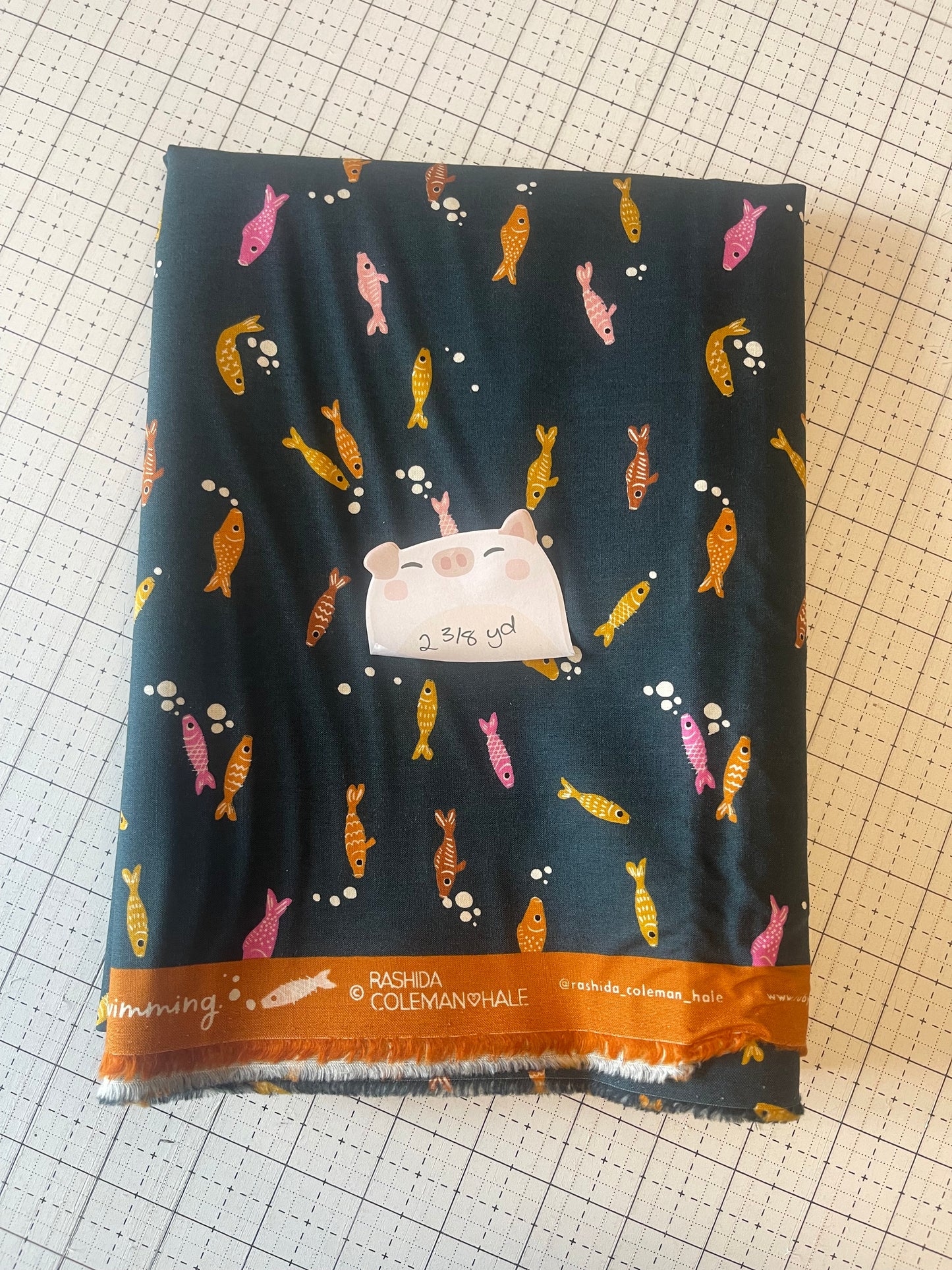 NOV25 DESTASH | Remnant 18