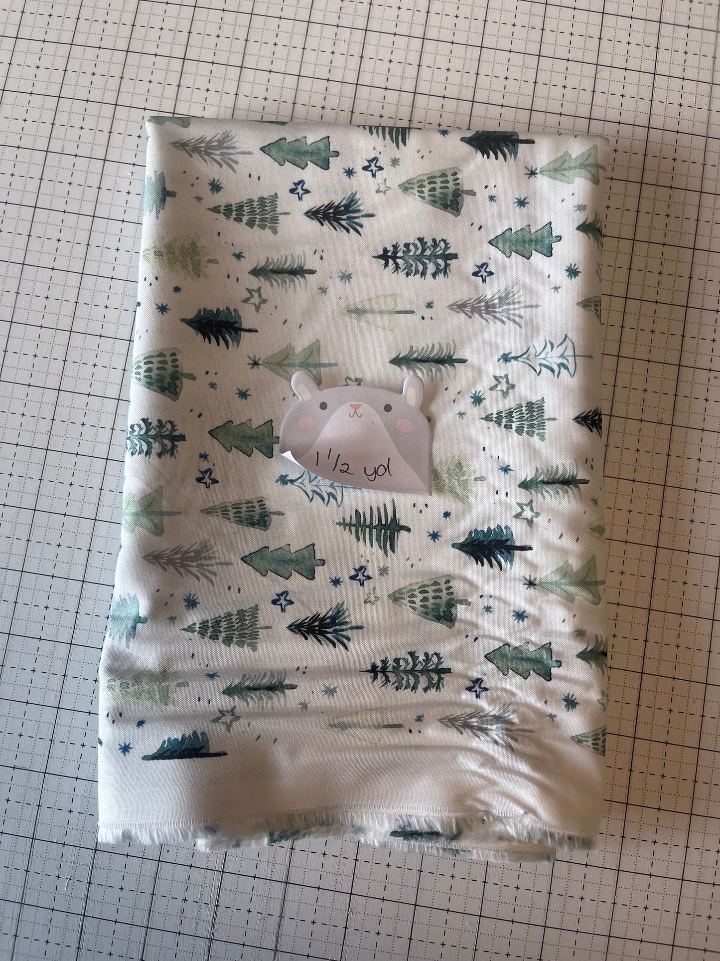 NOV25 DESTASH | Remnant 55