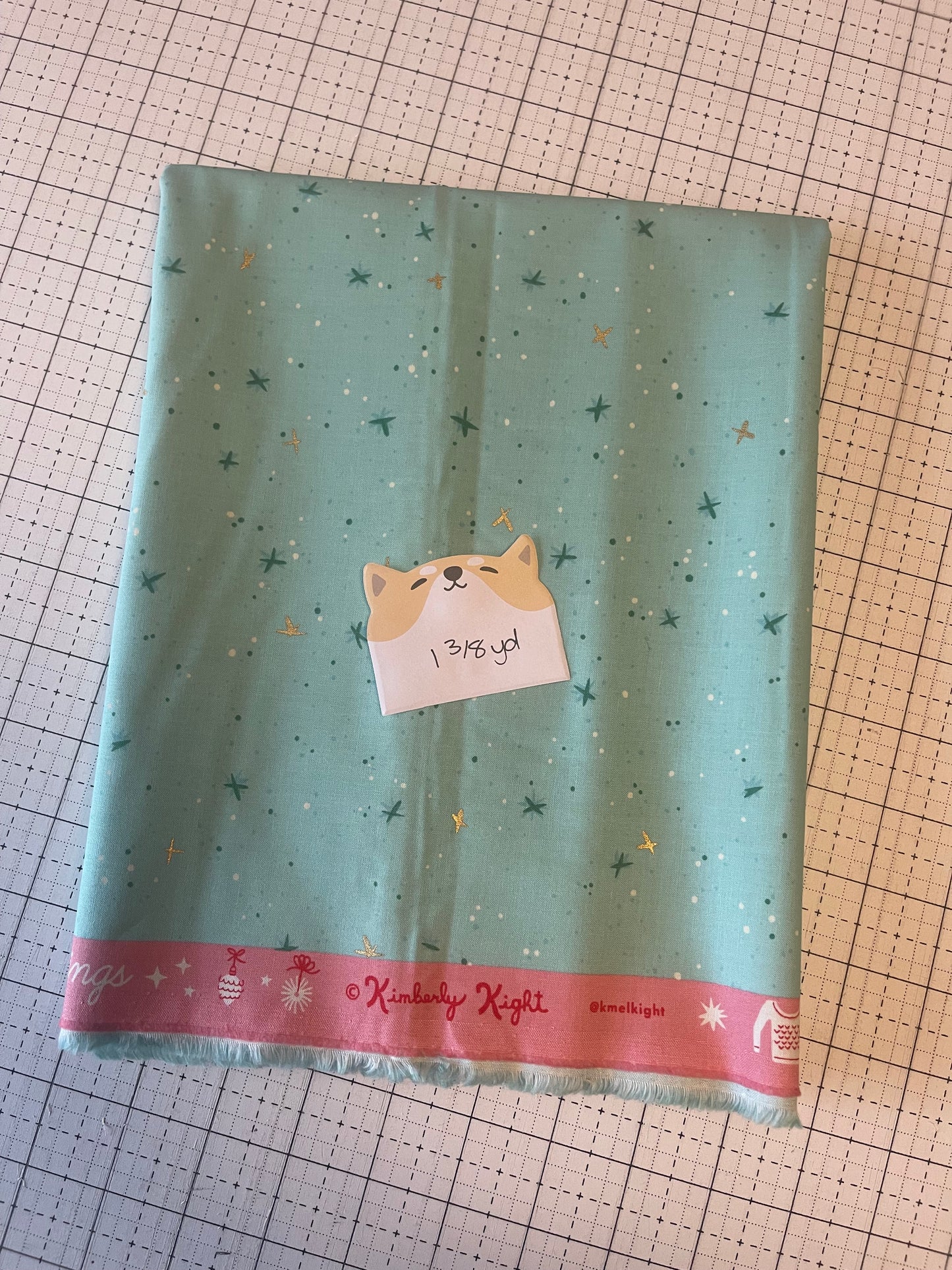 NOV25 DESTASH | Remnant 38