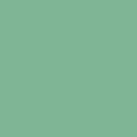 CENTURY SOLIDS | Jade