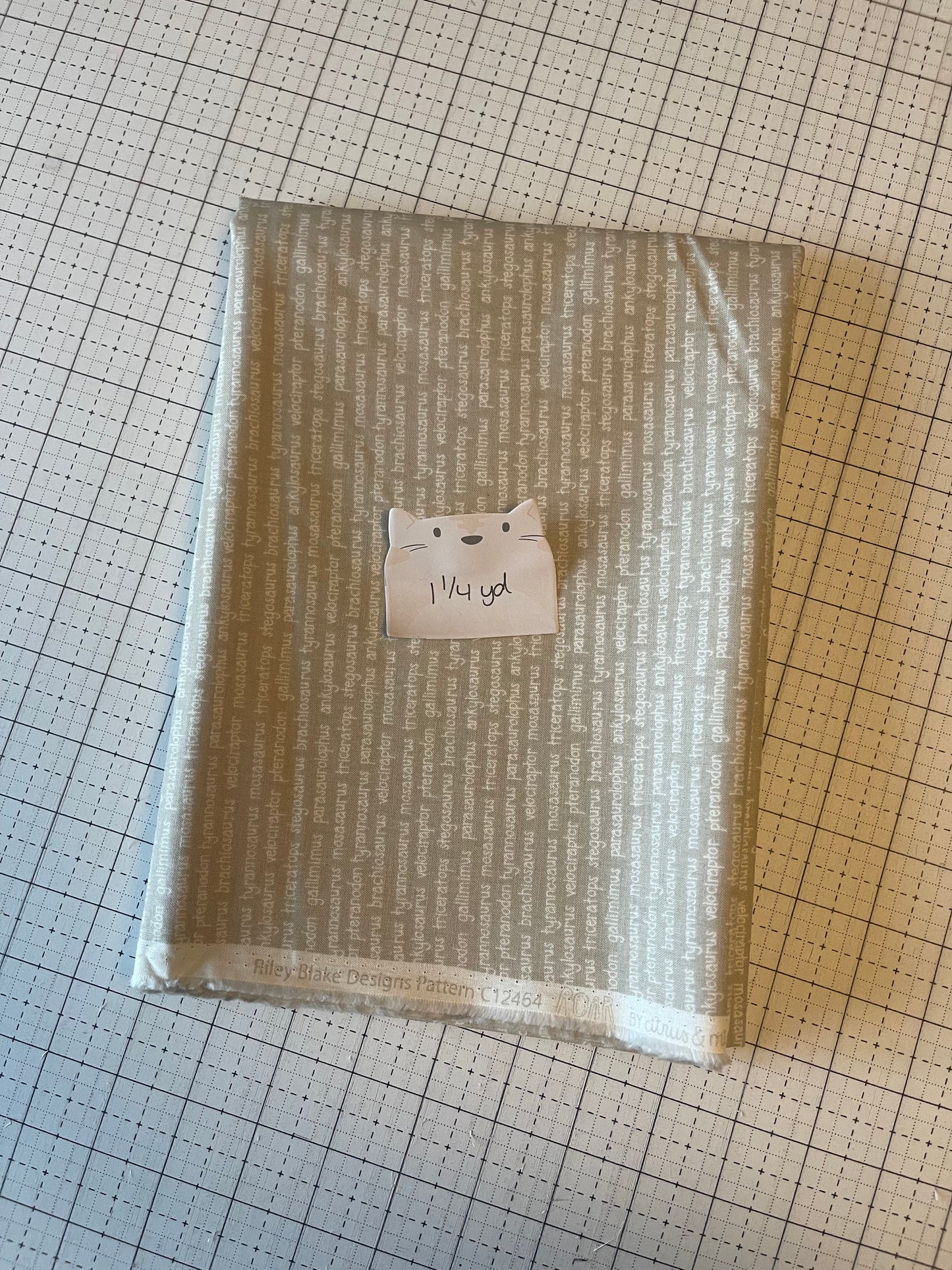 NOV25 DESTASH | Remnant 97