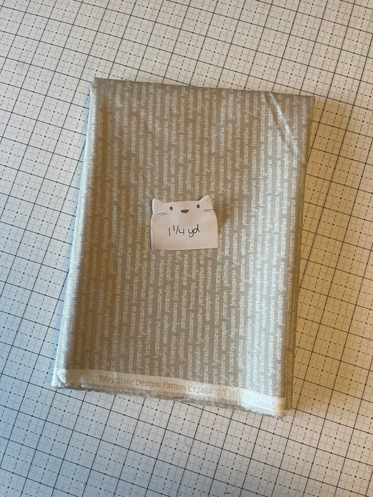 NOV25 DESTASH | Remnant 97