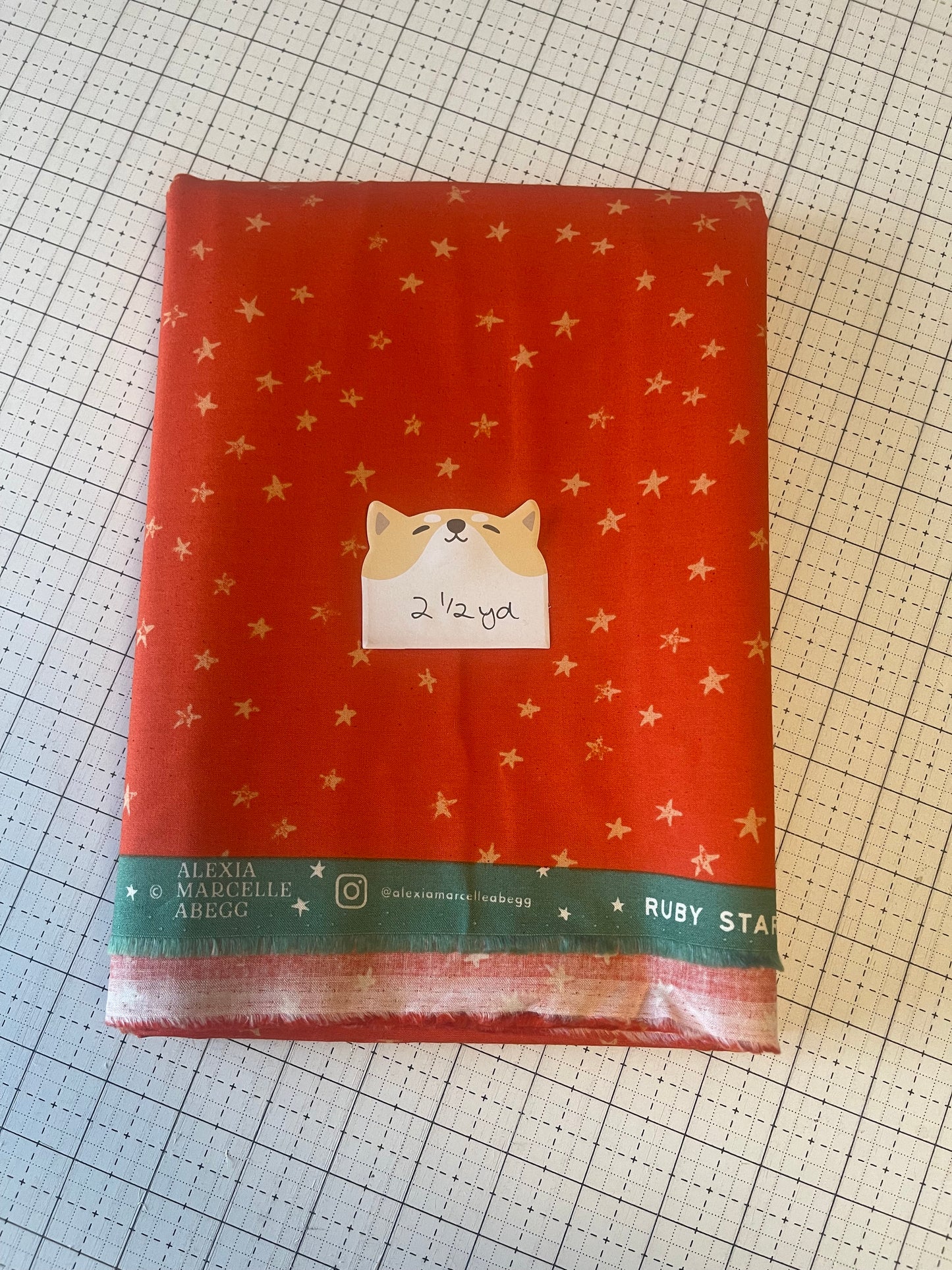 NOV25 DESTASH | Remnant 37