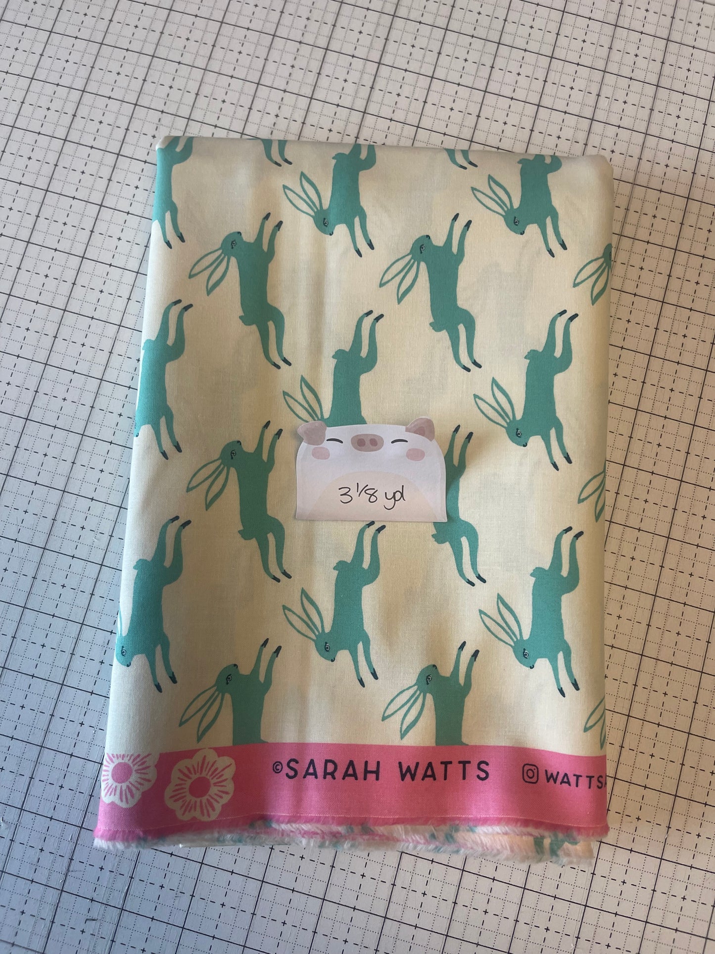 NOV25 DESTASH | Remnant 24