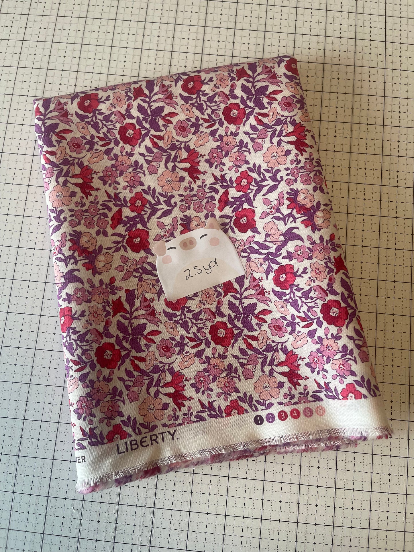 NOV25 DESTASH | Remnant 12