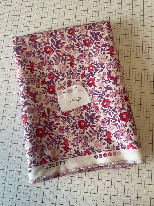 NOV25 DESTASH | Remnant 12