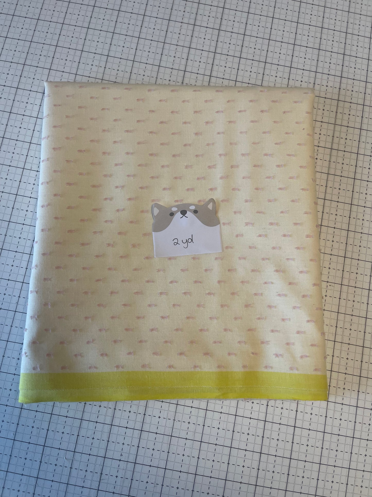 NOV25 DESTASH | Remnant 47