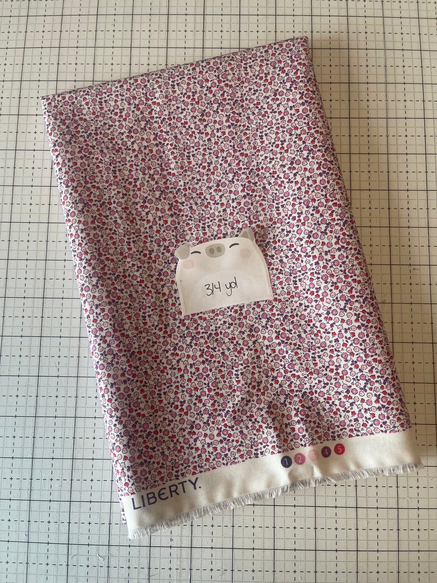 NOV25 DESTASH | Remnant 14