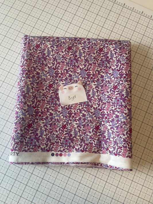 NOV25 DESTASH | Remnant 15