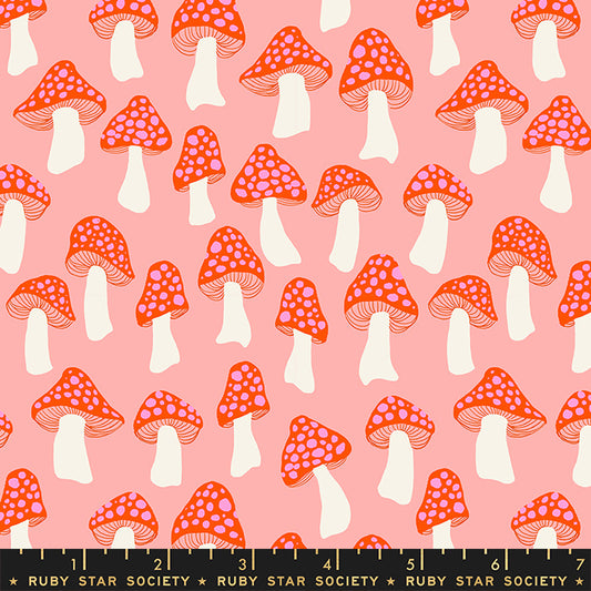 Darlings 2 | Mushrooms in Peach Fizz