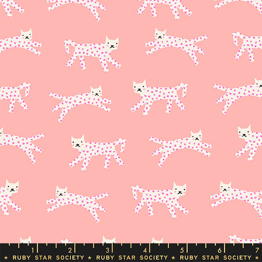 Darlings 2 | Snow Leopard in Peach Fizz