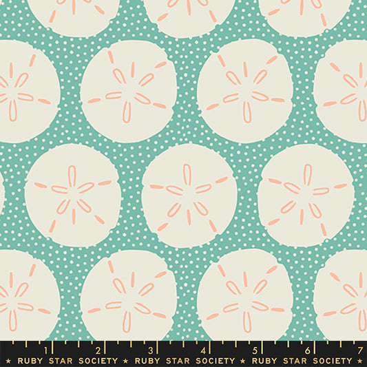 FLORIDA VOL. 2 | Sand Dollars Water