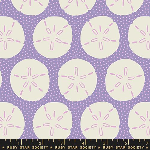 FLORIDA VOL. 2 | Sand Dollars Ghost