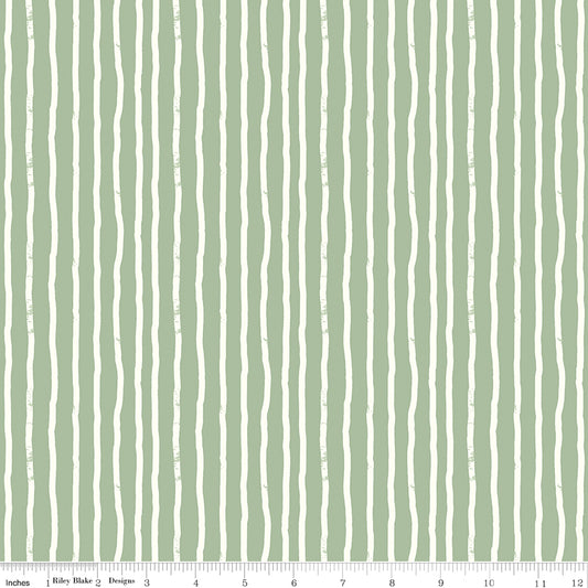 ROAR | Stripes Sage