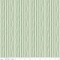 ROAR | Stripes Sage