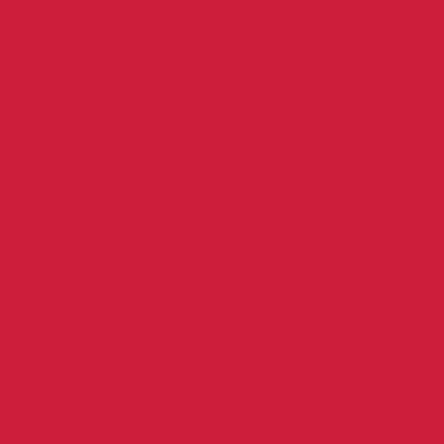 PURE SOLIDS | Undeniably Red