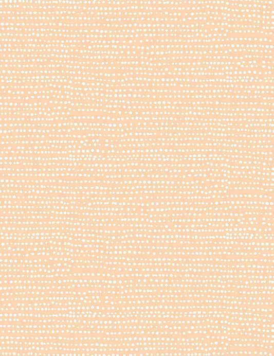 MOONSCAPE | Bellini