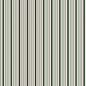 WILLOW | Timeless Ticking Forest